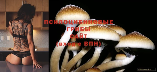 крисы Балабаново