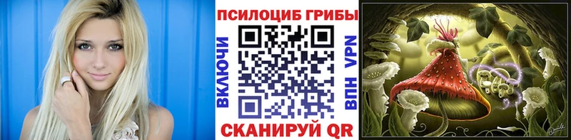 Галлюциногенные грибы Magic Shrooms  Короча 